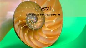  Presentation with shell - Slides having science mollusk - colorful nautilus shell section background and a  colored foreground