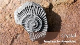  Presentation with mollusk - Amazing PPT layouts having science mollusk - fossil on red stone background backdrop and a tawny brown colored foreground