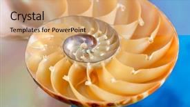  Presentation with gearbox cross section engine industry - Colorful presentation theme enhanced with science mollusk - nautilus shell section as background backdrop and a  colored foreground