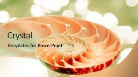  Presentation with peanut shell - Amazing slide set having science mollusk - nautilus shell section backdrop and a  colored foreground