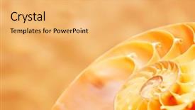  Presentation with shell - Presentation design consisting of concert tour - stage area you only background and a tawny brown colored foreground.