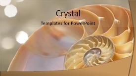  Presentation with mollusk - Colorful presentation design enhanced with science mollusk - nautilus shell section backdrop and a coral colored foreground