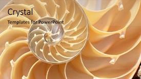  Presentation with mollusk - PPT theme having science mollusk - nautilus shell section background and a coral colored foreground