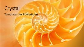  Presentation with shell - Presentation design featuring it cnotes - one red pill and money background and a sky blue colored foreground