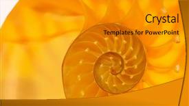  Presentation with pedestrian safety in cross section - Cool new PPT theme with science mollusk - nautilus shell section backdrop and a  colored foreground