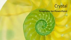  Presentation with mollusk - Slide set enhanced with science mollusk - nautilus shell section background and a gold colored foreground