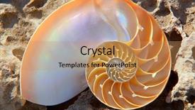  Presentation with mollusk - Theme consisting of science mollusk - nautilus shell section background and a coral colored foreground