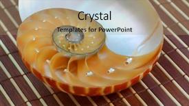  Presentation with outsourced based section - Slides enhanced with dangers for nature biohazard recycle symbols shadows over green leaf background and a tawny brown colored foreground