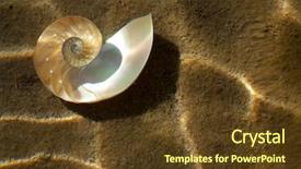  Presentation with unmanned underwater vehicles - Presentation theme with science mollusk - underwater image of a nautilus background and a tawny brown colored foreground