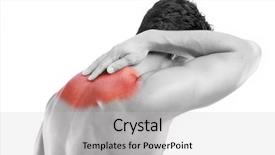  Presentation with muscle - Beautiful slide set featuring science muscle - rear view of a young backdrop and a light gray colored foreground