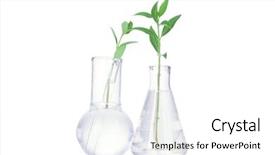  Presentation with science plant - Beautiful slides featuring science nature - test-tubes with a transparent solution backdrop and a white colored foreground