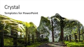  Presentation with toothpaste little kid boy brushing - Theme featuring science naturelle - silhouette of kid boy mixed background and a white colored foreground