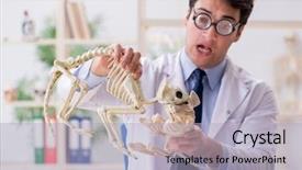  Presentation with skeletons - Slides having science rats - funny crazy professor studying animal background and a light gray colored foreground