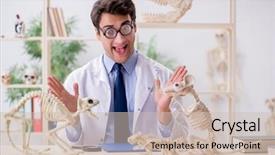  Presentation with skeletons - Presentation design featuring science rats - funny crazy professor studying animal background and a soft green colored foreground