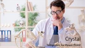  Presentation with funny animal - Cool new presentation theme with science rats - funny crazy professor studying animal backdrop and a soft green colored foreground