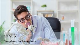  Presentation with lab - Amazing presentation design having science rats - funny scientist with cat skeleton backdrop and a light blue colored foreground