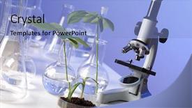  Presentation with plant biology - Cool new PPT theme with scientific equipment in biology backdrop and a light blue colored foreground