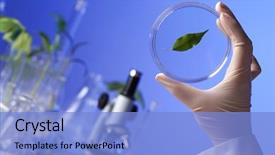  Presentation with scientific - Cool new slide deck with scientific equipment in biology backdrop and a light blue colored foreground