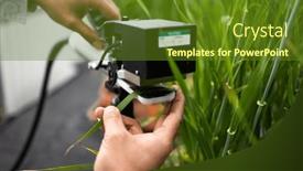  Presentation with chlorophyll - Presentation theme with scientis-using-a-dedicated-specialty background and a tawny brown colored foreground