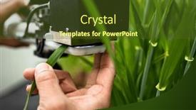  Presentation with chlorophyll - PPT theme featuring scientis-using-a-dedicated-specialty background and a tawny brown colored foreground