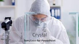  Presentation with lab animal - Theme enhanced with scientist-doing-animal-experiment background and a light gray colored foreground