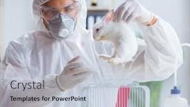  Presentation with lab animal - PPT layouts featuring scientist-doing-animal-experiment background and a lemonade colored foreground