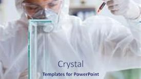  Presentation with lab animal - PPT layouts with scientist-doing-animal-experiment background and a lemonade colored foreground