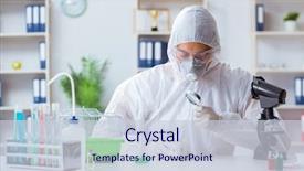  Presentation with lab animal - Audience pleasing PPT theme consisting of scientist doing animal experiment backdrop and a lemonade colored foreground