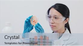  Presentation with petri dish - Slide deck having scientist doing at petri dish background and a light blue colored foreground