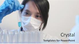  Presentation with animal testing scientist doing experiment - Theme having scientist doing experiment with test background and a light gray colored foreground