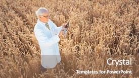  Presentation with gmo - PPT layouts having gmo grain for better yield background and a coral colored foreground