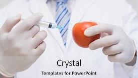  Presentation with injection - Beautiful PPT theme featuring scientist doing injection to tomato in the laboratory backdrop and a sky blue colored foreground