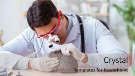  Presentation with animal testing - Cool new theme with scientist doing testing on animals backdrop and a light gray colored foreground