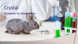  Presentation with animal testing - Beautiful slide deck featuring scientist doing testing on animals backdrop and a sky blue colored foreground