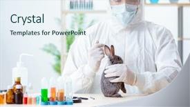  Presentation with animal testing - PPT theme consisting of scientist doing testing on animals background and a sky blue colored foreground