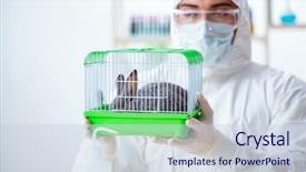  Presentation with animal testing - Beautiful PPT layouts featuring scientist doing testing on animals backdrop and a lemonade colored foreground