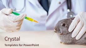  Presentation with animal testing - Slide deck featuring scientist doing testing on animals background and a lemonade colored foreground