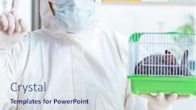  Presentation with animals - Amazing slide set having scientist doing testing on animals rabbit backdrop and a sky blue colored foreground