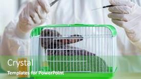  Presentation with testing - PPT theme with scientist doing testing on animals rabbit background and a shamrock green colored foreground