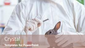  Presentation with animals - Beautiful slide deck featuring scientist doing testing on animals rabbit backdrop and a coral colored foreground