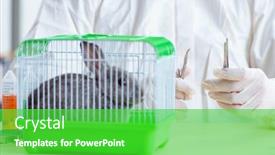  Presentation with animals - Beautiful theme featuring scientist-doing-testing-on-animals backdrop and a shamrock green colored foreground