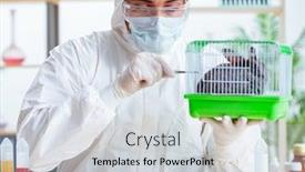  Presentation with animals - Colorful PPT theme enhanced with scientist-doing-testing-on-animals backdrop and a sky blue colored foreground