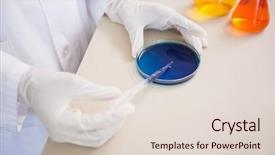  Presentation with petri dish - Beautiful PPT theme featuring scientist examining petri dish backdrop and a lemonade colored foreground