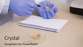  Presentation with laboratory - Presentation design with scientist examining pieces of bread background and a  colored foreground