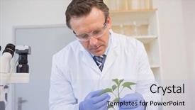  Presentation with research - Presentation theme featuring scientist examining plants background and a  colored foreground