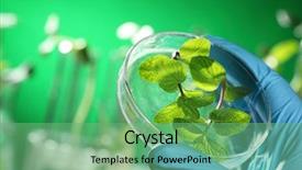  Presentation with scientist - Theme with scientist examining samples with plants background and a seafoam green colored foreground