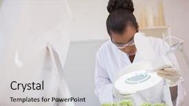  Presentation with heat - Presentation with scientist examining sprouts under heat lamp in laboratory background and a light gray colored foreground