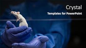  Presentation with tests - Presentation featuring scientist-holding-a-lab-mouse background and a navy blue colored foreground