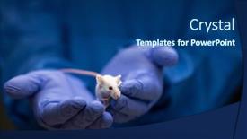  Presentation with tests - Presentation having scientist-holding-a-lab-mouse background and a ocean colored foreground