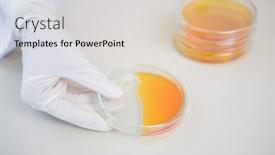  Presentation with petri dish - Presentation design consisting of scientist holding petri dish with orange fluid inside in laboratory background and a lemonade colored foreground